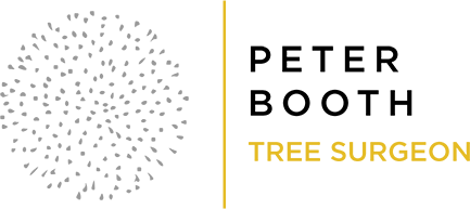 Peter Booth Tree Surgeon Logo