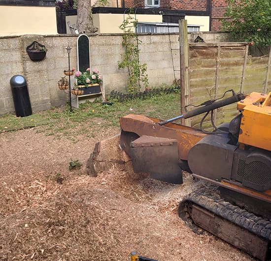 Stump grinding