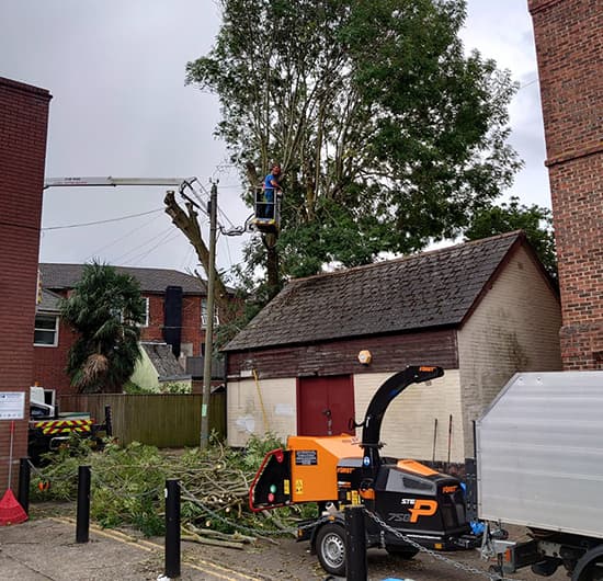 Dismantling and Felling
